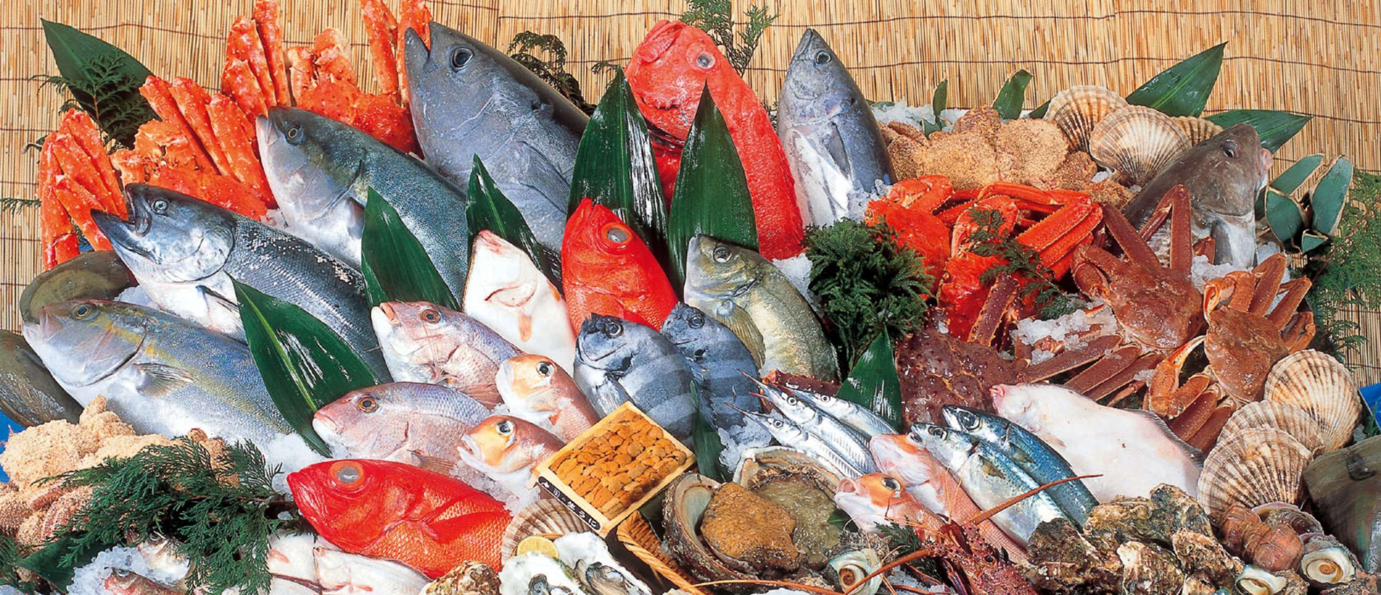 魚力 あざみ野ガーデンズ店