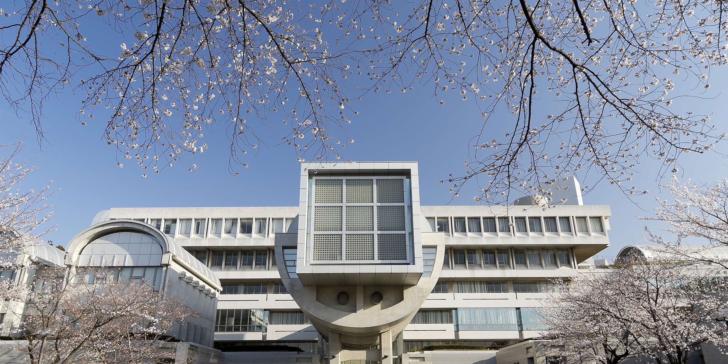 桐蔭学園