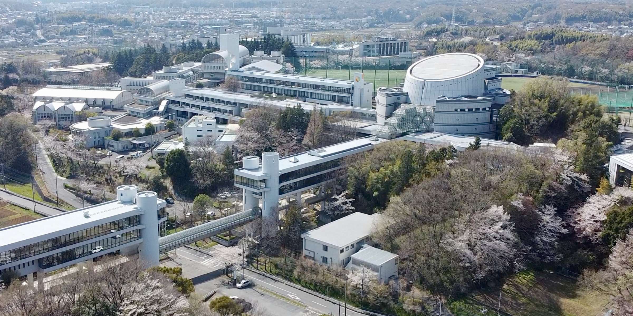 桐蔭学園
