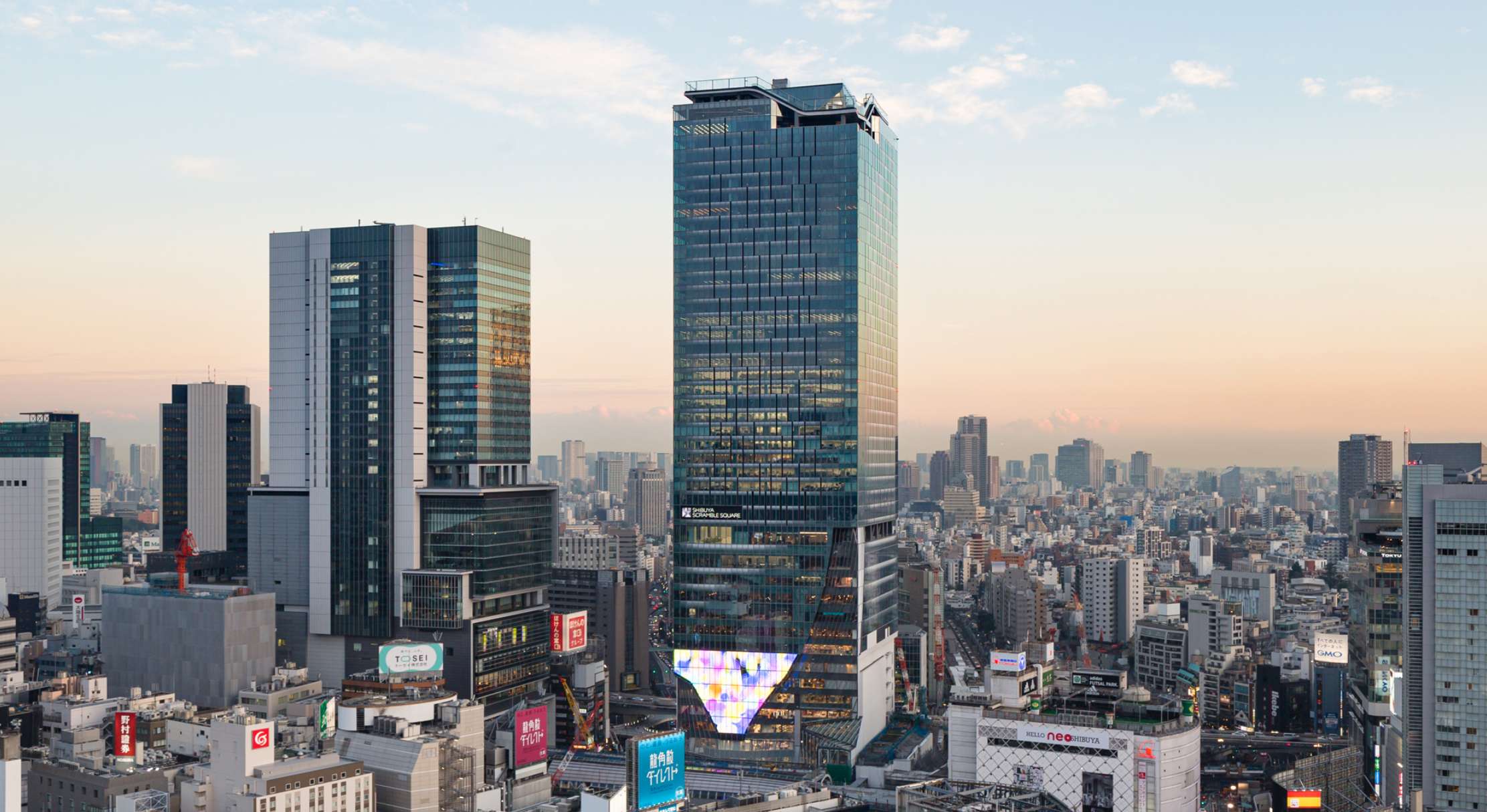 提供：渋谷スクランブルスクエア
