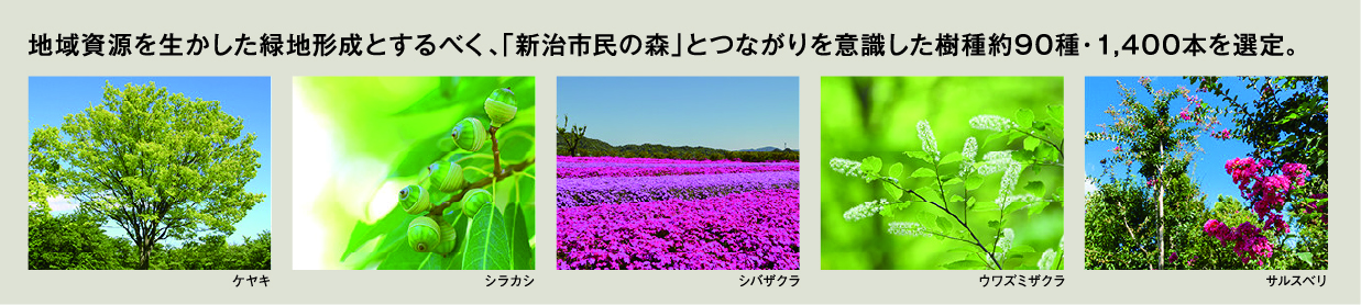 地域資源を生かした緑地形成とするべく、「新治市民の森」とつながりを意識した樹種約90種・1,400本を選定。