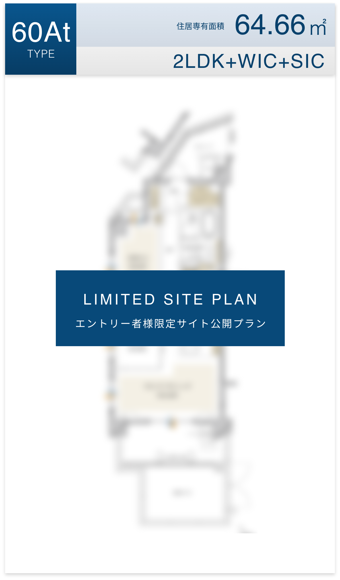 エントリー者様限定サイト公開プラン：60At