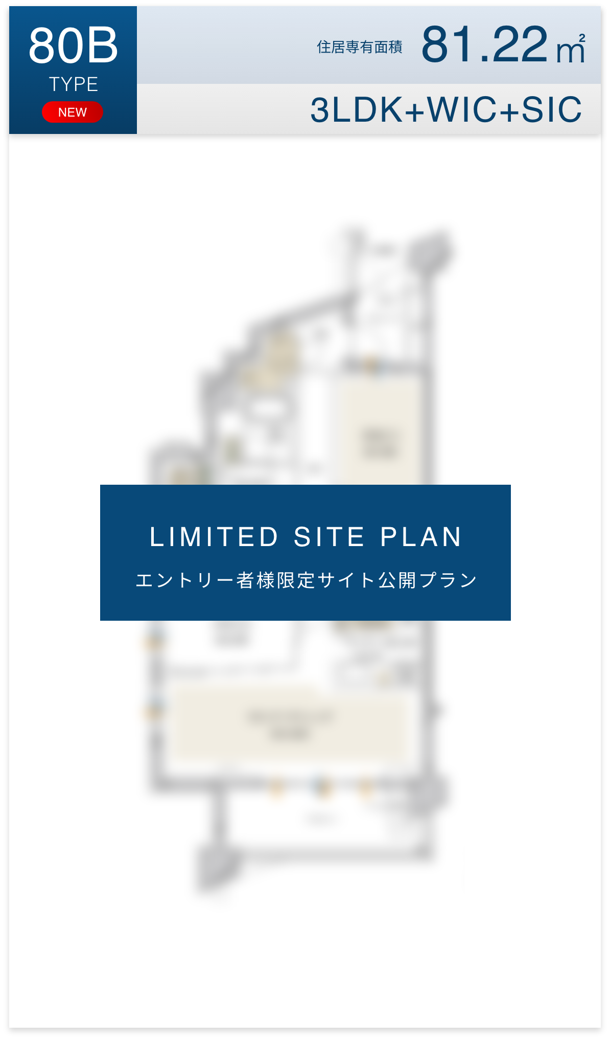 エントリー者様限定サイト公開プラン：80b
