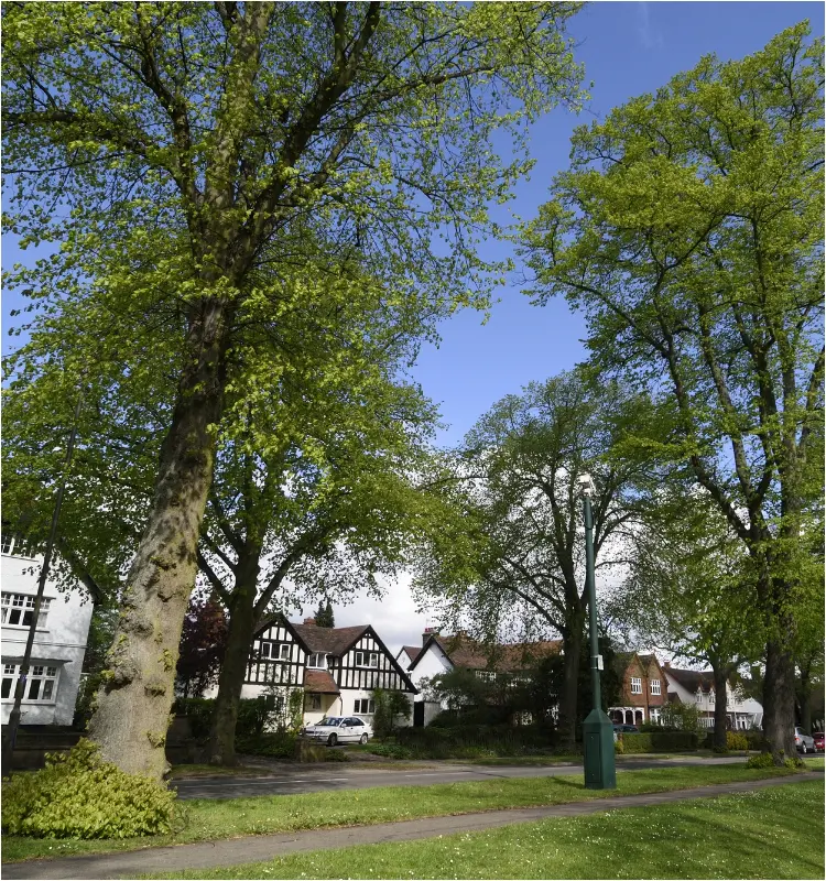 イギリス レッチワースの街並み（image）