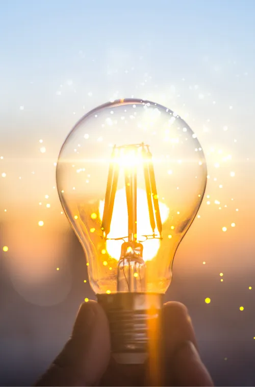 実質再生可能エネルギー100%電気の導入