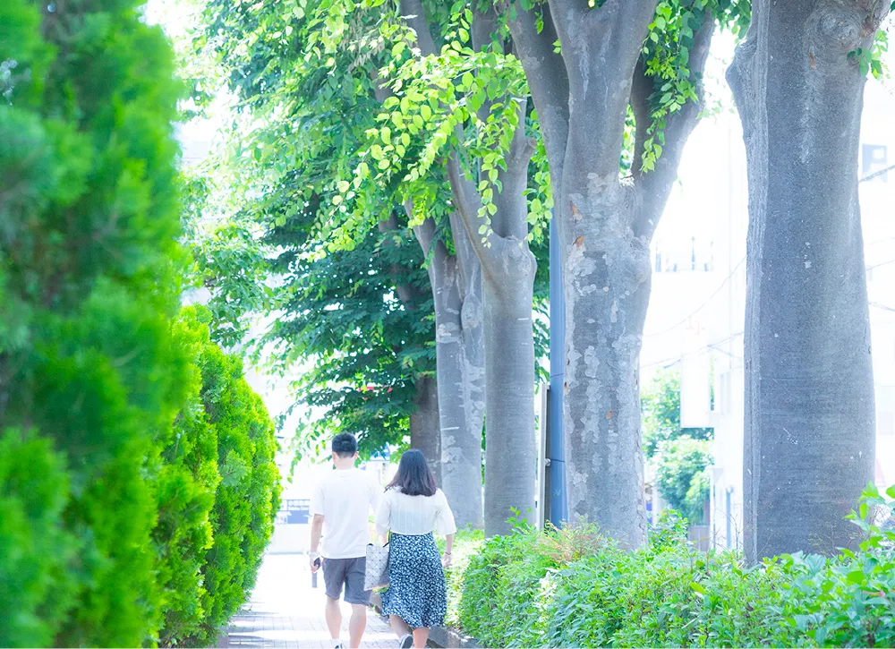 現地周辺（徒歩4分/約260m）