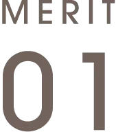 MERIT 01