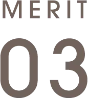 MERIT 03