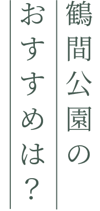 鶴間公園のおすすめは？