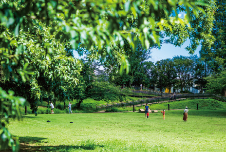 鶴間公園