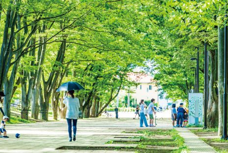 鶴間公園