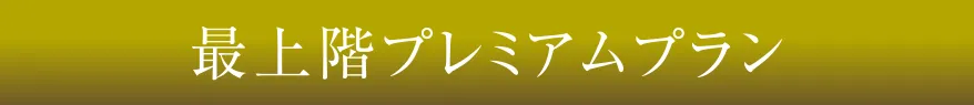 最上階プレミアムプラン