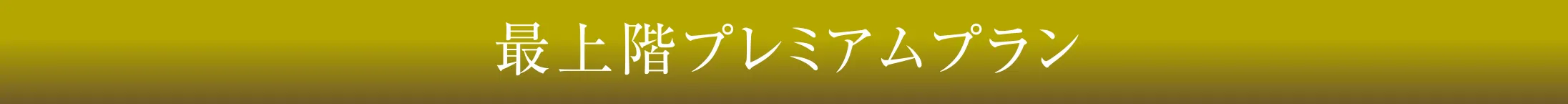 最上階プレミアムプラン