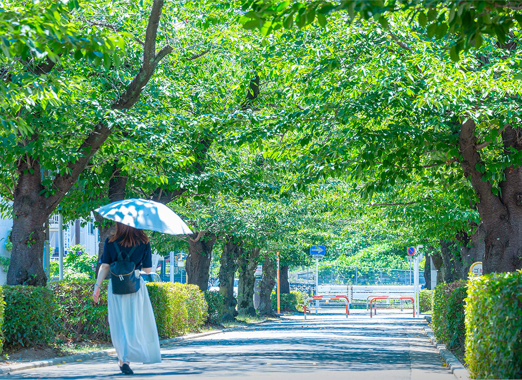 公式】ドレッセたまプラーザ ラベニュー｜新築分譲マンション｜東急
