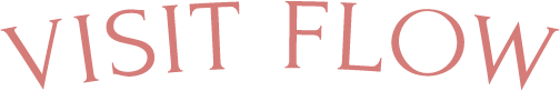 VISIT FLOW