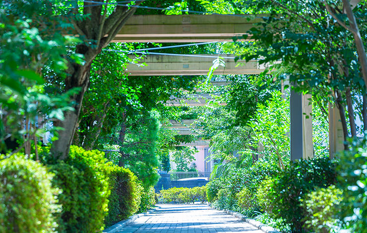 國學院大學付近