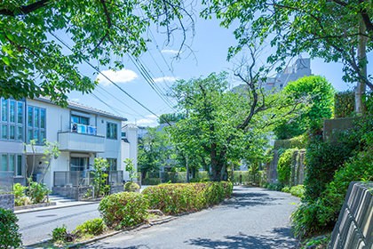 新石川桜並木通り