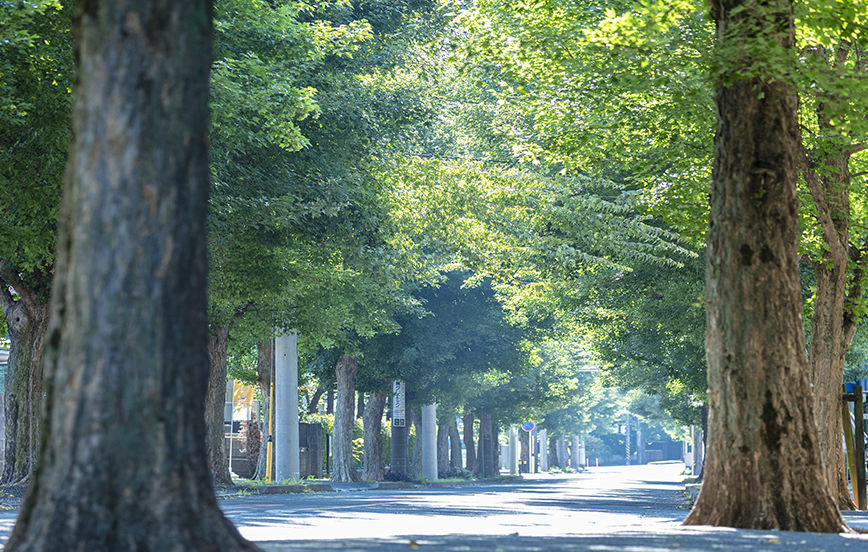 現地周辺の街並