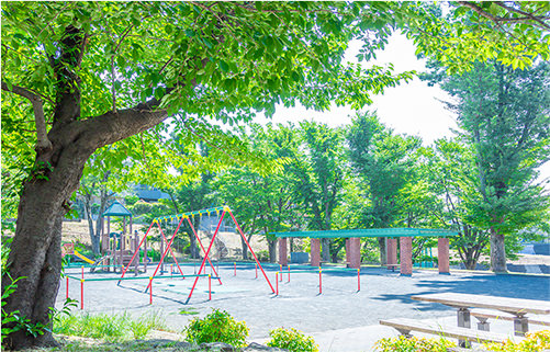 すみれが丘公園