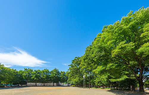 有馬中央公園
