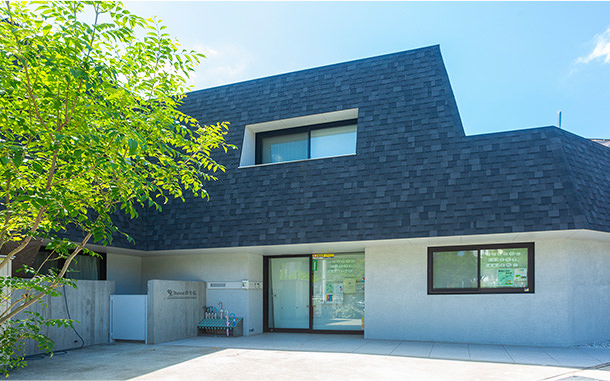 鷺沼ピノキオ保育園