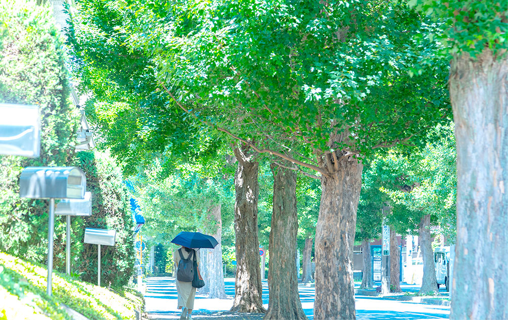 現地周辺の街並