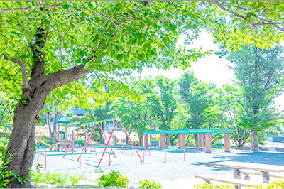 すみれが丘公園