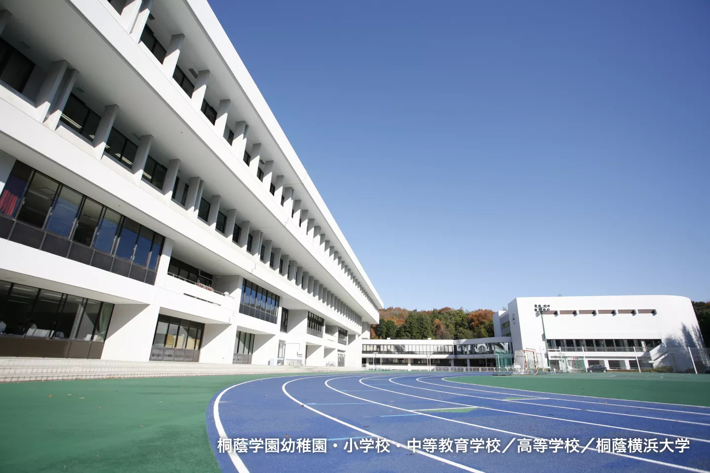 桐蔭学園幼稚園・小学校・中等教育学校/高等学校/桐蔭横浜大学
